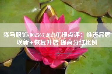 森马服饰(002563)2024年报点评：推进品牌焕新+恢复开店 提高分红比例