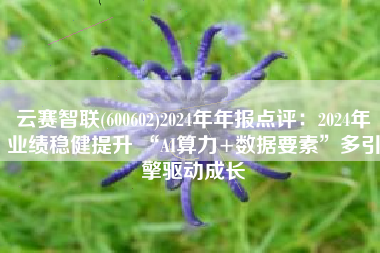 云赛智联(600602)2024年年报点评：2024年业绩稳健提升 “AI算力+数据要素”多引擎驱动成长