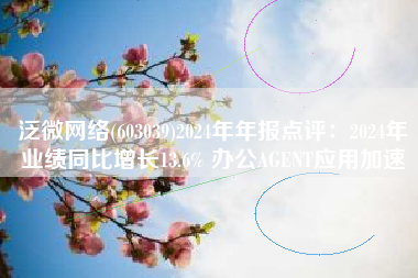 泛微网络(603039)2024年年报点评：2024年业绩同比增长13.6% 办公AGENT应用加速