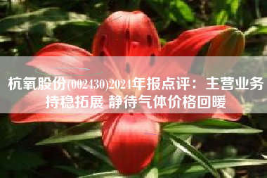 杭氧股份(002430)2024年报点评：主营业务持稳拓展 静待气体价格回暖