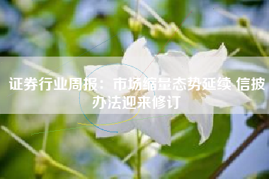 证券行业周报：市场缩量态势延续 信披办法迎来修订