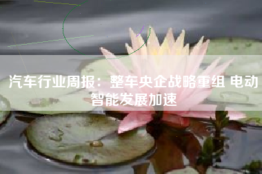 汽车行业周报：整车央企战略重组 电动智能发展加速