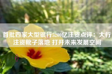 首批四家大型银行5200亿注资点评：大行注资靴子落地 打开未来发展空间