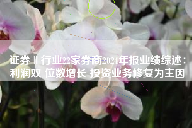 证券Ⅱ行业22家券商2024年报业绩综述：利润双 位数增长 投资业务修复为主因
