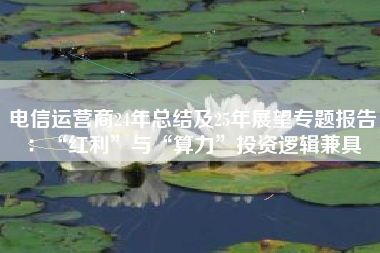 电信运营商24年总结及25年展望专题报告：“红利”与“算力”投资逻辑兼具