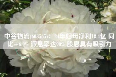 中谷物流(603565)：24年归母净利18.4亿 同比+6.9% 派息率达90% 股息具有吸引力