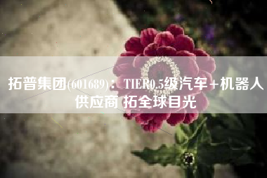 拓普集团(601689)：TIER0.5级汽车+机器人供应商 拓全球目光