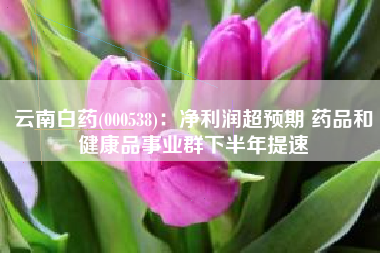 云南白药(000538)：净利润超预期 药品和健康品事业群下半年提速