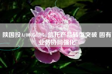 陕国投A(000563)：信托产品转型突破 固有业务协同强化