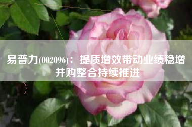 易普力(002096)：提质增效带动业绩稳增 并购整合持续推进