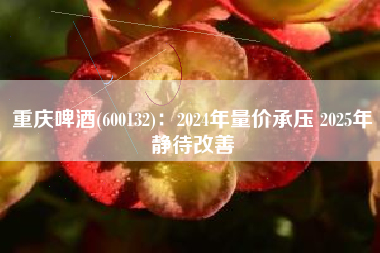 重庆啤酒(600132)：2024年量价承压 2025年静待改善