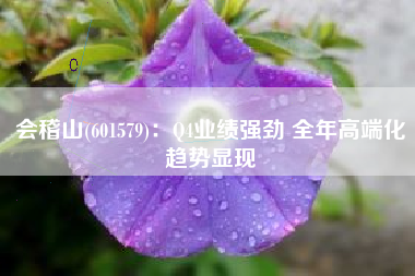 会稽山(601579)：Q4业绩强劲 全年高端化趋势显现