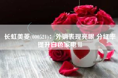 长虹美菱(000521)：外销表现亮眼 分红率提升白色家电Ⅲ