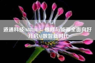 道通科技(688208)：维修与能源全面向好 开启AI数智新时代