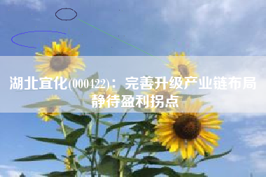 湖北宜化(000422)：完善升级产业链布局 静待盈利拐点