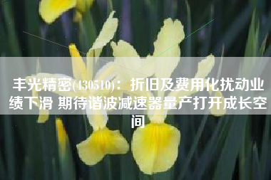 丰光精密(430510)：折旧及费用化扰动业绩下滑 期待谐波减速器量产打开成长空间