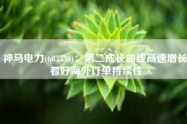 神马电力(603530)：第二成长曲线高速增长 看好海外订单持续性