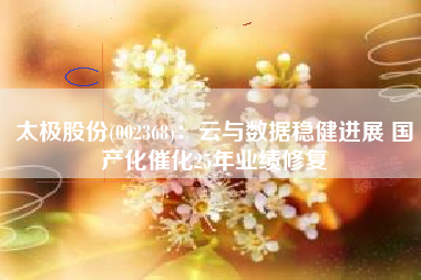 太极股份(002368)：云与数据稳健进展 国产化催化25年业绩修复