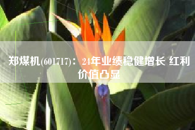郑煤机(601717)：24年业绩稳健增长 红利价值凸显