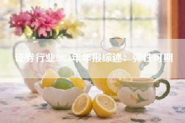 证券行业2024年年报综述：弹性可期