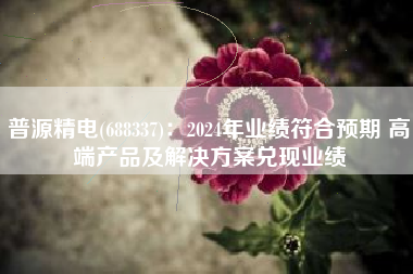 普源精电(688337)：2024年业绩符合预期 高端产品及解决方案兑现业绩