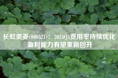 长虹美菱(000521)：2024Q4费用率持续优化 盈利能力有望重新回升