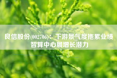 良信股份(002706)：下游景气度拖累业绩 智算中心展增长潜力
