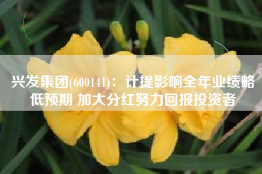 兴发集团(600141)：计提影响全年业绩略低预期 加大分红努力回报投资者