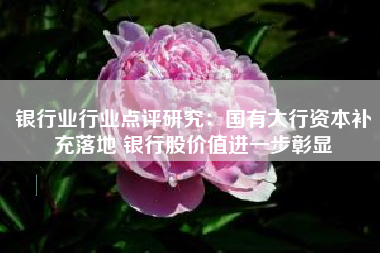 银行业行业点评研究：国有大行资本补充落地 银行股价值进一步彰显