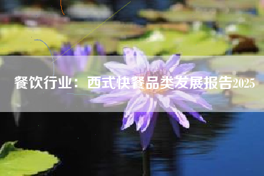 餐饮行业：西式快餐品类发展报告2025