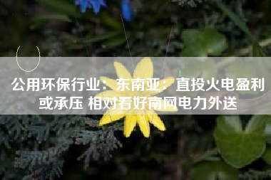 公用环保行业：东南亚：直投火电盈利或承压 相对看好南网电力外送