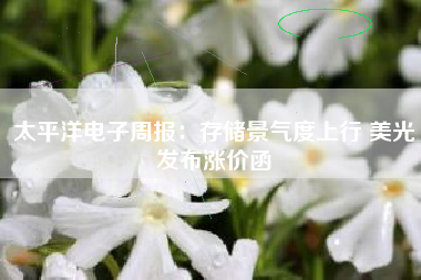 太平洋电子周报：存储景气度上行 美光发布涨价函