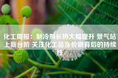 化工周报：制冷剂长协大幅提升 景气站上新台阶 关注化工品涨价潮背后的持续性
