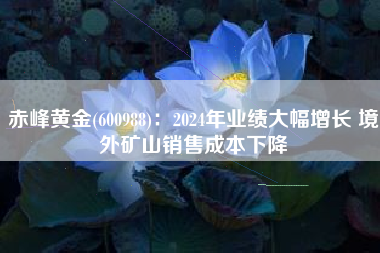 赤峰黄金(600988)：2024年业绩大幅增长 境外矿山销售成本下降