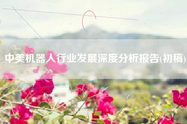 中美机器人行业发展深度分析报告(初稿)