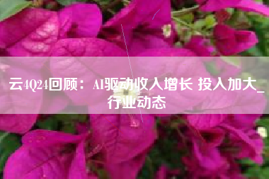 云4Q24回顾：AI驱动收入增长 投入加大_行业动态
