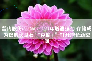 普冉股份(688766)：2024年增速强劲 存储成为稳增长基石 “存储+”打开增长新空间
