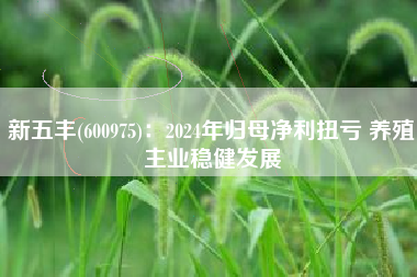 新五丰(600975)：2024年归母净利扭亏 养殖主业稳健发展