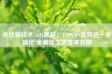光伏新技术25Q1跟踪：TOPCON优势进一步强化 金属化工艺变革在即