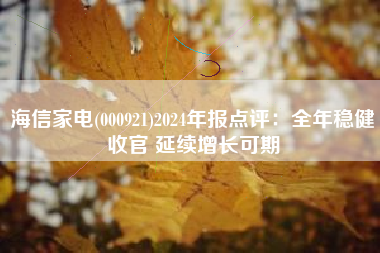 海信家电(000921)2024年报点评：全年稳健收官 延续增长可期