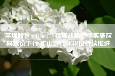 平煤股份(601666)：精煤战略稳步实施应对煤价下行 矿山智能化建设持续推进