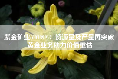 紫金矿业(601899)：资源量及产量再突破 黄金业务助力价值重估