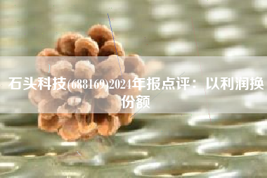 石头科技(688169)2024年报点评：以利润换份额