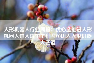 人形机器人行业周报：优必选推进人形机器人进入汽车工厂 VIVO切入人形机器人赛道