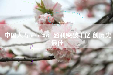 中国人寿(601628)：盈利突破千亿 创历史最佳