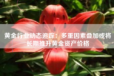黄金行业动态追踪：多重因素叠加或将长期推升黄金资产价格