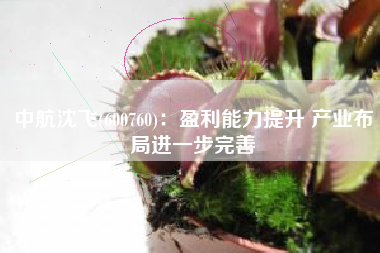中航沈飞(600760)：盈利能力提升 产业布局进一步完善