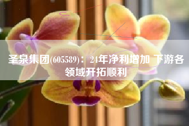 圣泉集团(605589)：24年净利增加 下游各领域开拓顺利