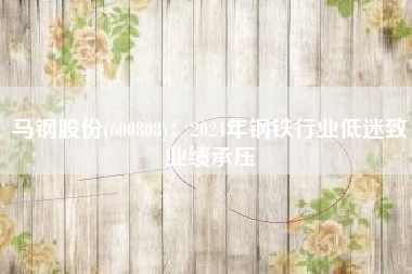 马钢股份(600808)：2024年钢铁行业低迷致业绩承压