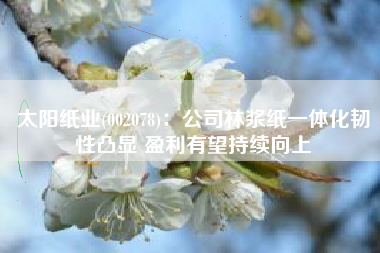 太阳纸业(002078)：公司林浆纸一体化韧性凸显 盈利有望持续向上